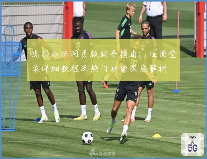 虎扑论坛网页版新手指南：注册登录详细教程及热门功能深度解析