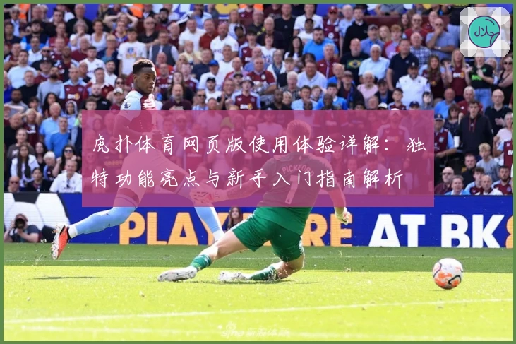 虎扑体育网页版使用体验详解：独特功能亮点与新手入门指南解析